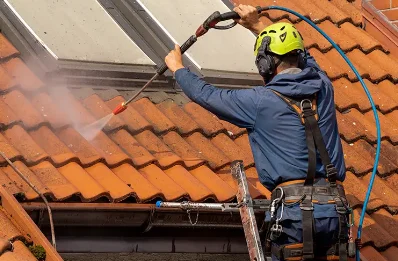 Démoussage et hydrofuge de toiture à Gogney
